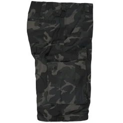 Airforce Shorts (Sale)