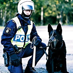 Balaclava 200