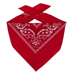 Bandana klassisch 55 x 55 cm