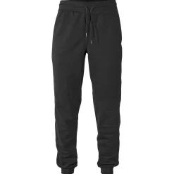 Basic Sweat Pants