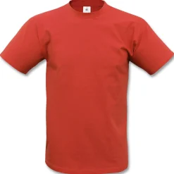 Basic T-Shirt (Sale)