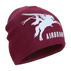 Beanie Airborne Pegasus