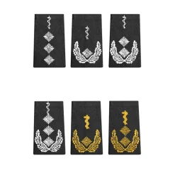 Bundeswehr Rangabzeichen Heer Ärzte