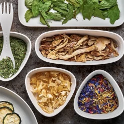 Lunchkit 2.0 Essgeschirr
