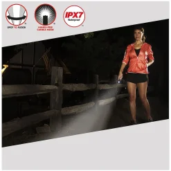 Mini Maglite LED AAA Taschenlampe (Sale)
