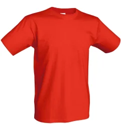 Premium T-Shirt (Sale)