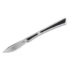 Taschenmesser Scalpel