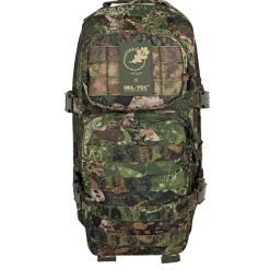 US Assault Pack Small