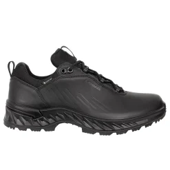Zicon GTX Low Einsatzschuhe