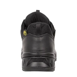 Zicon GTX Low Einsatzschuhe